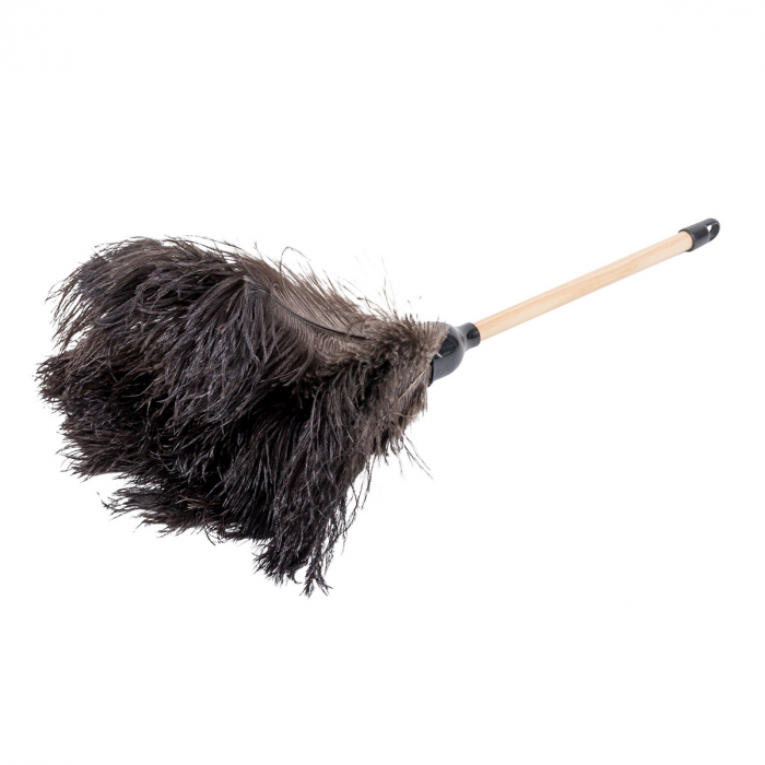 Ostrich Feather Duster: for the finest care of your finest things.